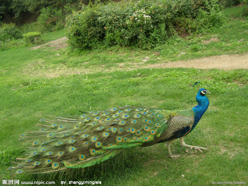 �{(l��n)��ȸ