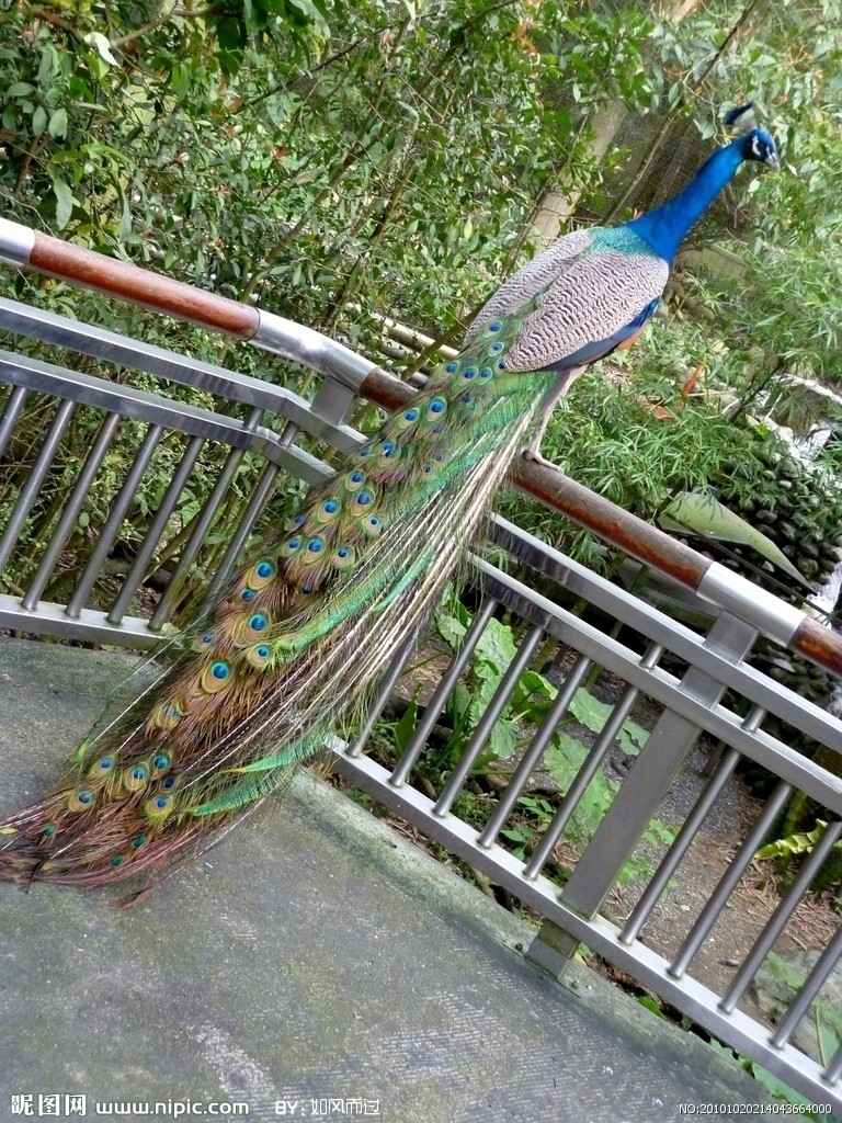 �{(l��n)��ȸ