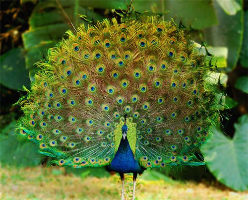 �{(l��n)��ȸ