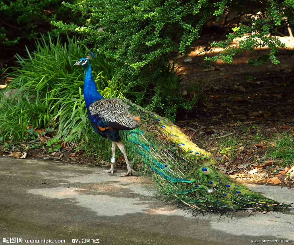 �{(l��n)��ȸ