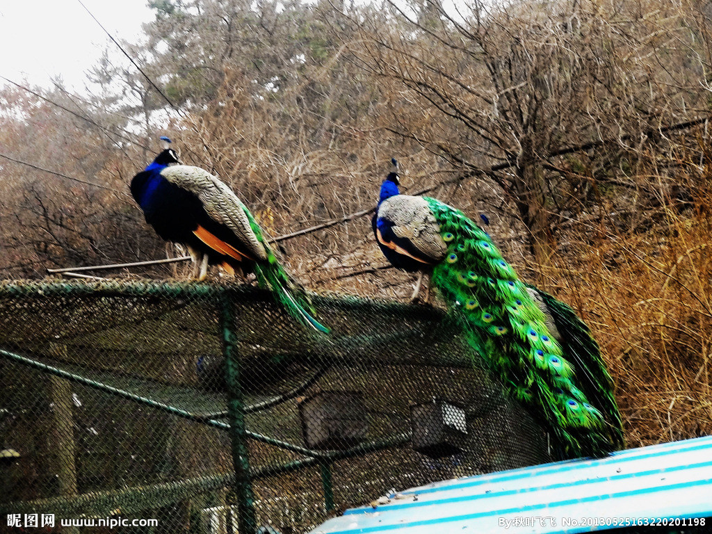 �{(l��n)��ȸ