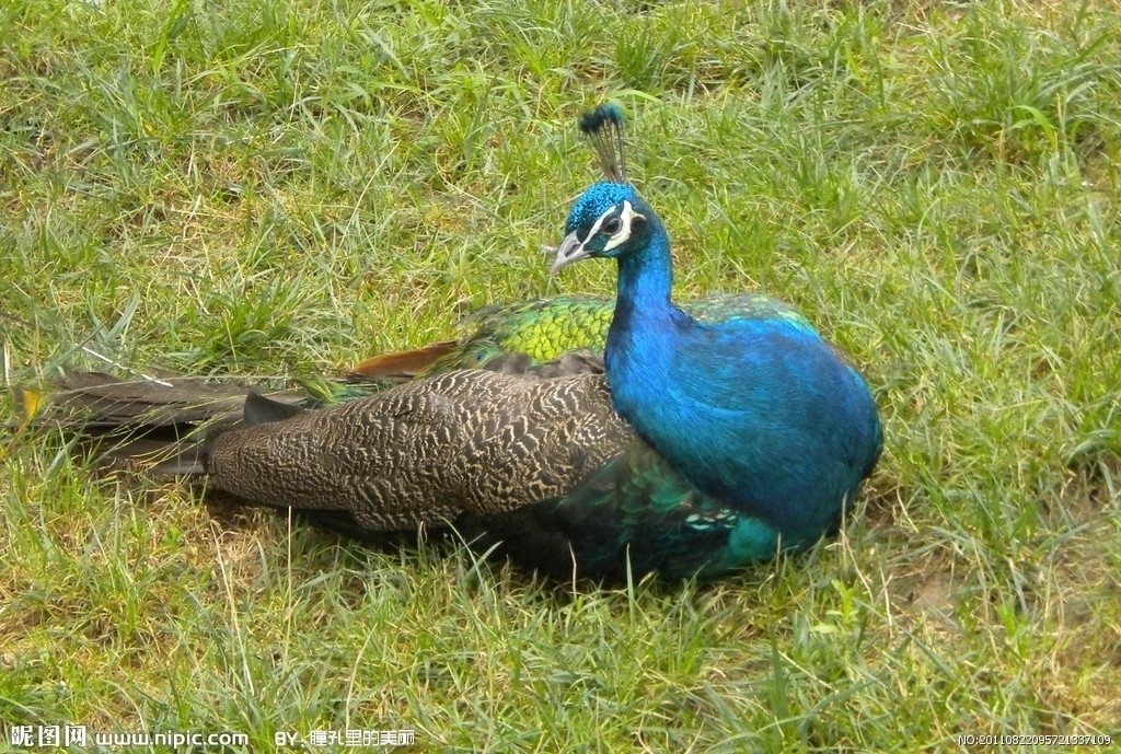 �{(l��n)��ȸ