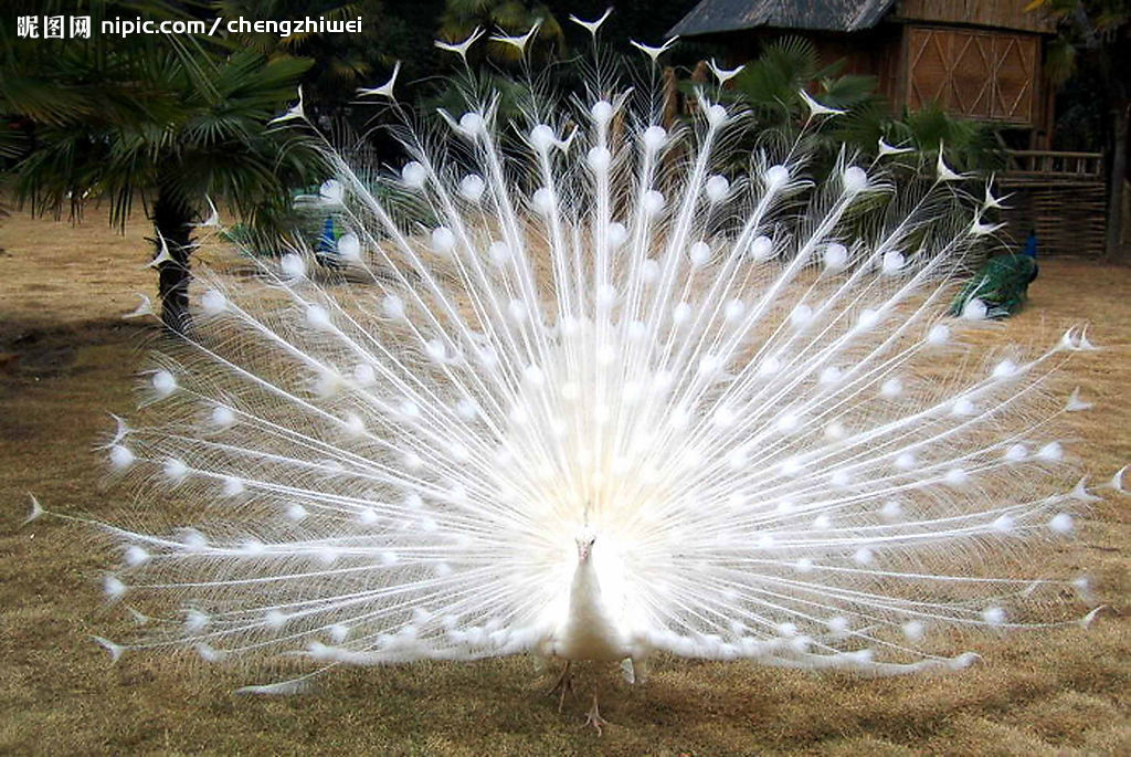 �{(l��n)��ȸ