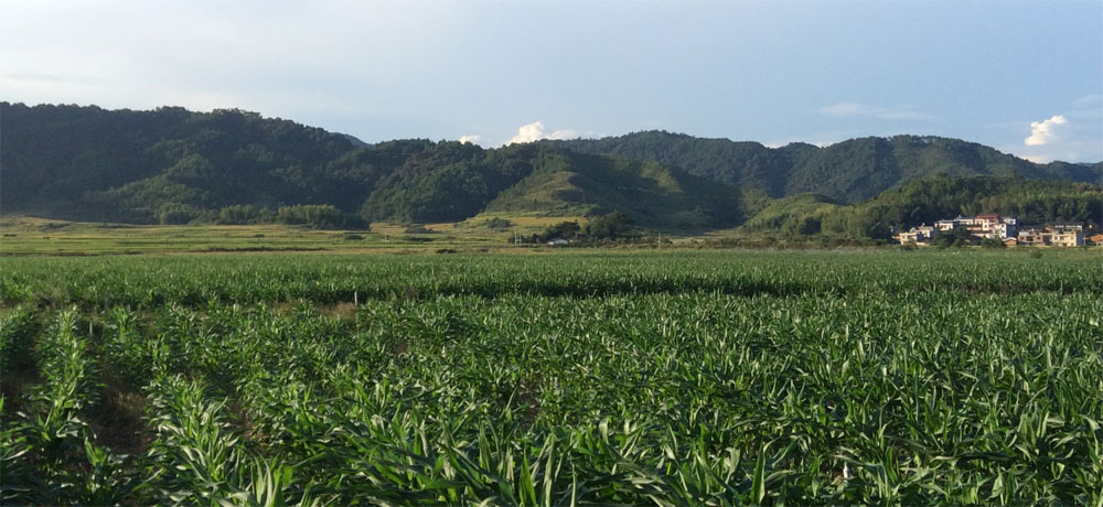 �gӭ�����R����ʡ�{�����B(t��i)�l(f��)չ���޹�˾