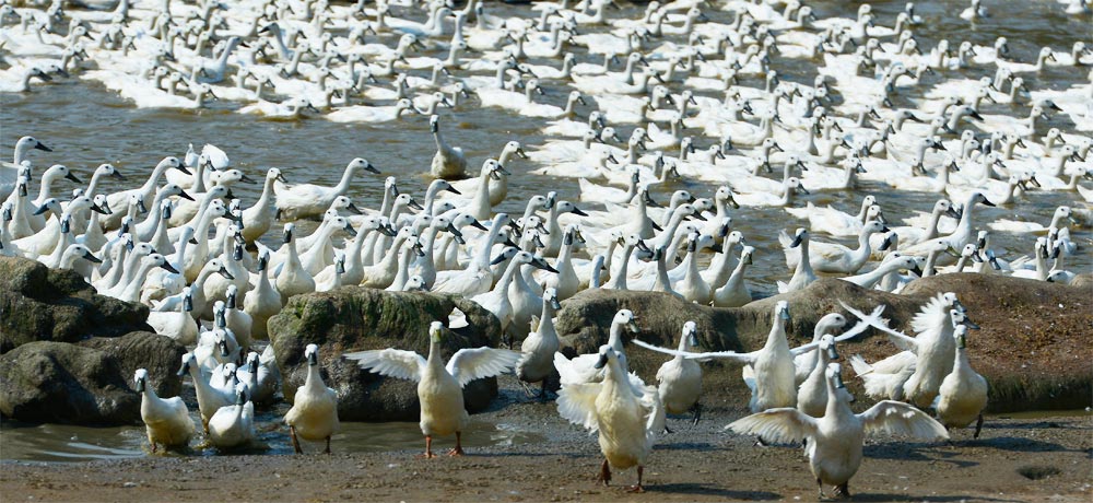 �gӭ�����R����ʡ�{�����B(t��i)�l(f��)չ���޹�˾