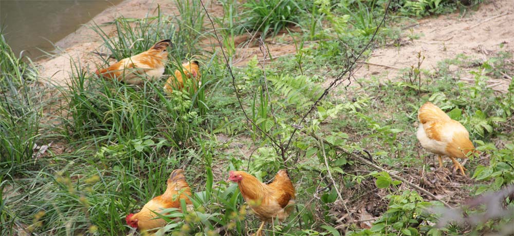 �gӭ�����R����ʡ�{�����B(t��i)�l(f��)չ���޹�˾