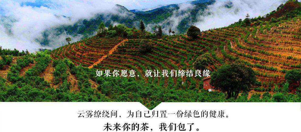 �gӭ�����R����ʡ�{�����B(t��i)�l(f��)չ���޹�˾