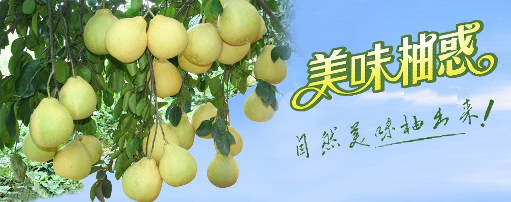 �gӭ�����R����ʡ�{�����B(t��i)�l(f��)չ���޹�˾